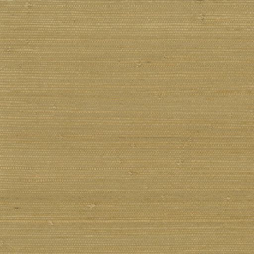 KRAVET DESIGN - KRAVET DESIGN- W3312-4 - Wallcovering by the Roll W3312-4