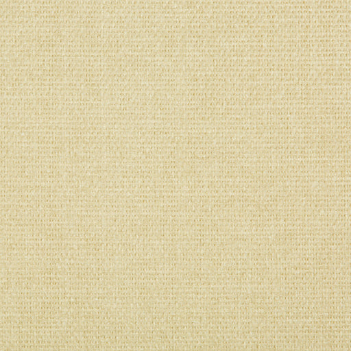 KRAVET DESIGN - KRAVET DESIGN- W3407-1616 - Wallcovering by the Yard W3407-1616