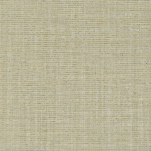 KRAVET DESIGN - W3420 - Wallpaper By the Roll