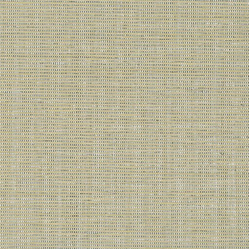 KRAVET DESIGN - KRAVET DESIGN- W3420-16 - Wallcovering by the Roll W3420-16