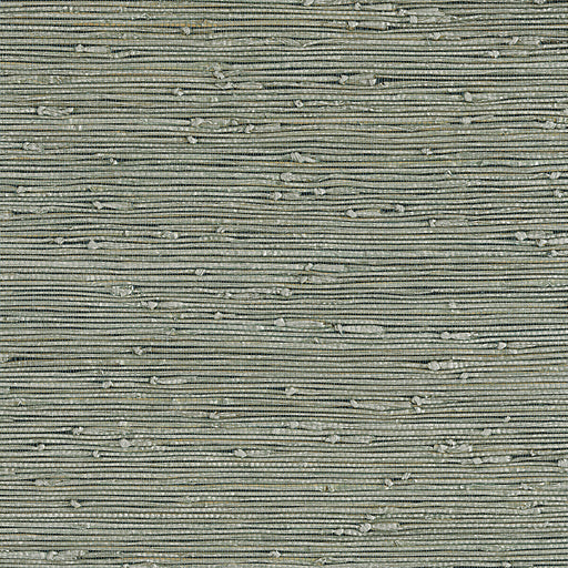 KRAVET DESIGN - KRAVET DESIGN- W3421-30 - Wallcovering by the Roll W3421-30