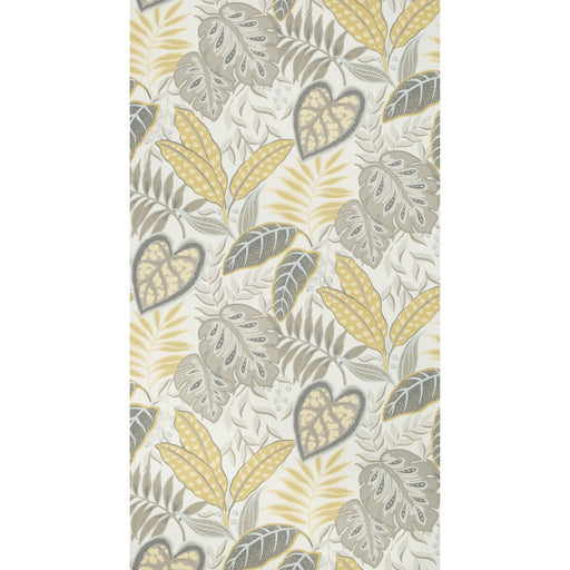 KRAVET DESIGN - JASMINE- CITRINE - Wallcovering by the Roll CITRINE