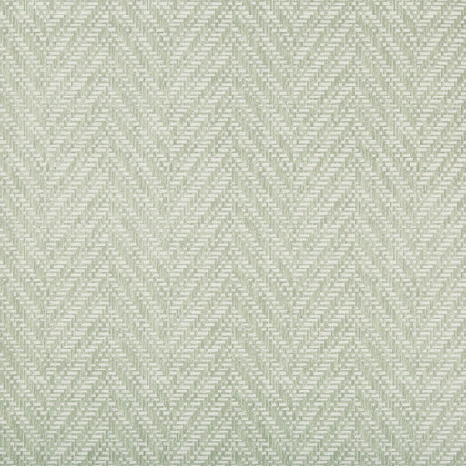 KRAVET DESIGN - ZIGGITY- MEADOW - Wallcovering by the Roll MEADOW