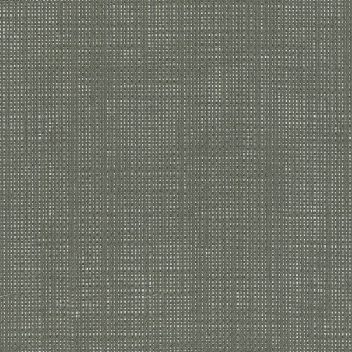 KRAVET DESIGN - W3551 - Wallpaper By the Roll