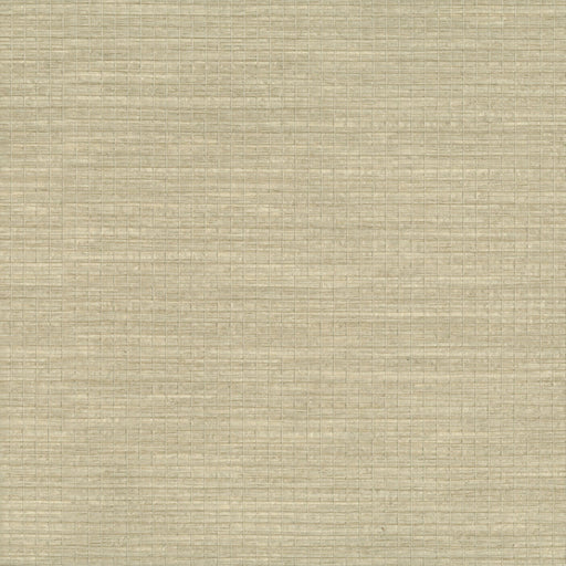 KRAVET DESIGN - KRAVET DESIGN- W3553-116 - Wallcovering by the Roll W3553-116