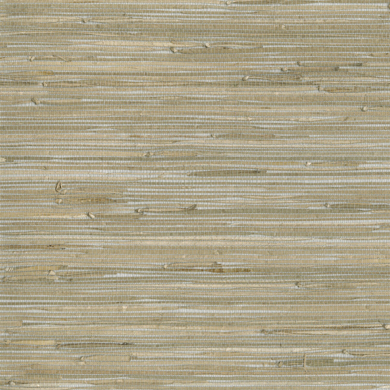 KRAVET DESIGN - KRAVET DESIGN- W3560-1611 - Wallcovering by the Roll W3560-1611