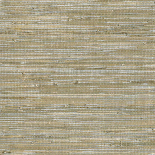 KRAVET DESIGN - KRAVET DESIGN- W3560-1611 - Wallcovering by the Roll W3560-1611