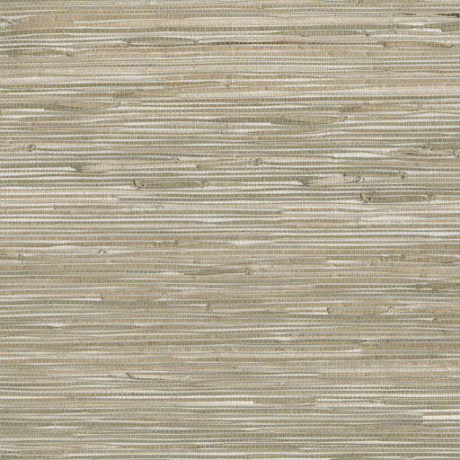 KRAVET DESIGN - KRAVET DESIGN- W3561-106 - Wallcovering by the Roll W3561-106