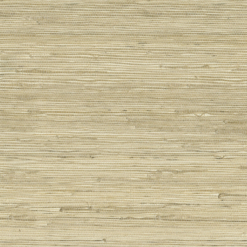 KRAVET DESIGN - KRAVET DESIGN- W3566-16 - Wallcovering by the Roll W3566-16