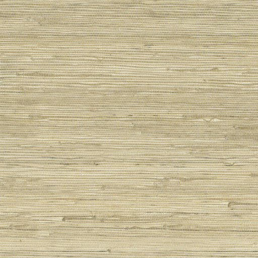 KRAVET DESIGN - KRAVET DESIGN- W3566-16 - Wallcovering by the Roll W3566-16