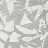 KRAVET COUTURE - SOCIAL CANVAS- SILVER - Wallcovering by the Roll