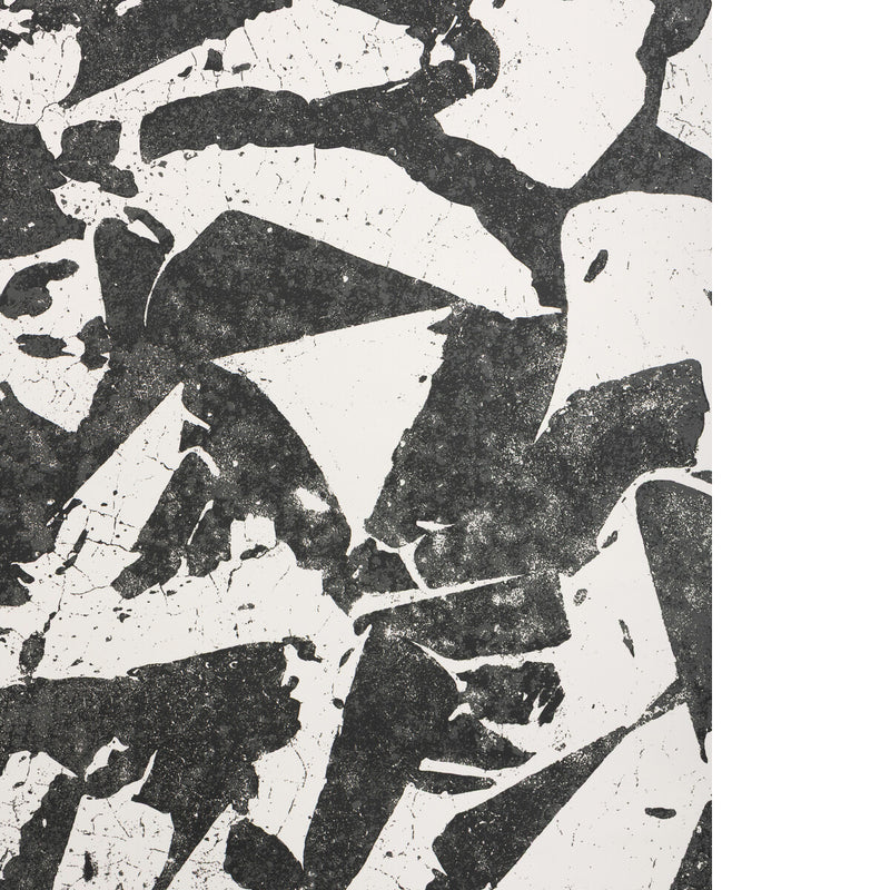 KRAVET COUTURE - SOCIAL CANVAS- EBONY - Wallcovering by the Roll - W3568_816
