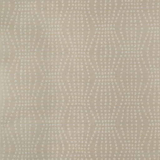 KRAVET COUTURE - PUKA- BLUSH - Wallcovering by the Roll BLUSH