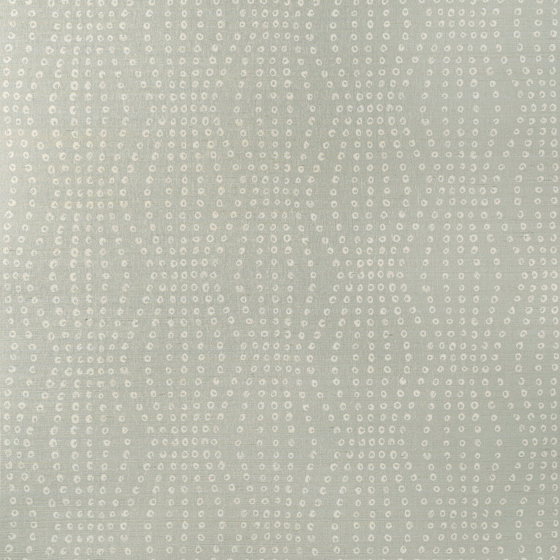 KRAVET COUTURE - PUKA- MIST - Wallcovering by the Roll MIST