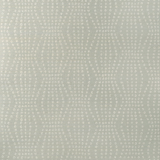 KRAVET COUTURE - PUKA- MIST - Wallcovering by the Roll MIST