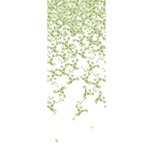 KRAVET COUTURE - W3578 - FALLING GINKGO - Wallpaper By the Piece