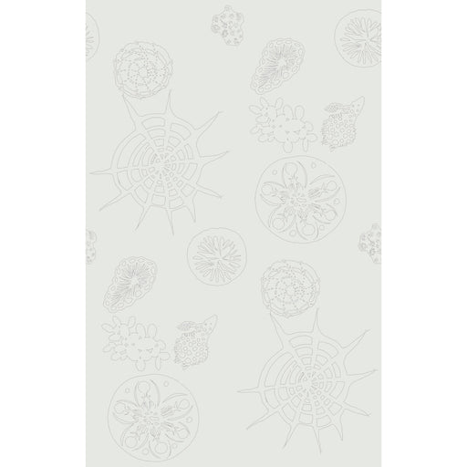 KRAVET COUTURE - W3585 - TELESCOPIC P - Wallpaper By the Roll