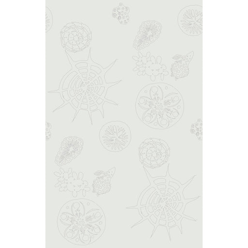 KRAVET COUTURE - TELESCOPIC P- MERCURY - Wallcovering by the Roll MERCURY