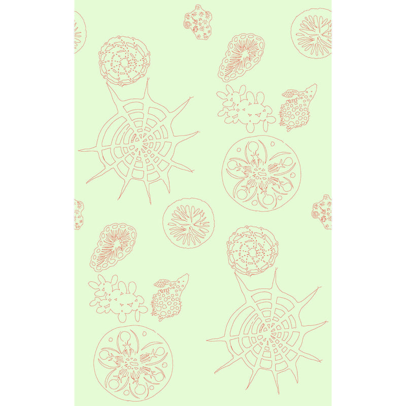 KRAVET COUTURE - TELESCOPIC P- CORAL SEA - Wallcovering by the Roll CORAL SEA