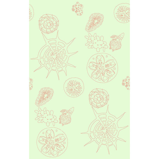 KRAVET COUTURE - TELESCOPIC P- CORAL SEA - Wallcovering by the Roll CORAL SEA