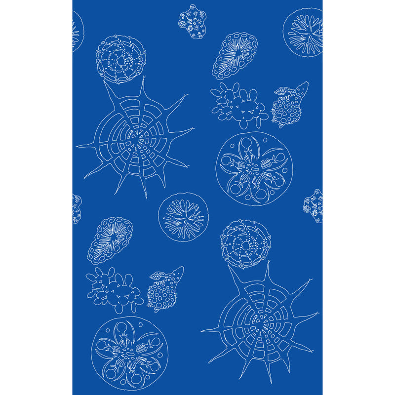KRAVET COUTURE - TELESCOPIC P- NAUTICS - Wallcovering by the Roll NAUTICS