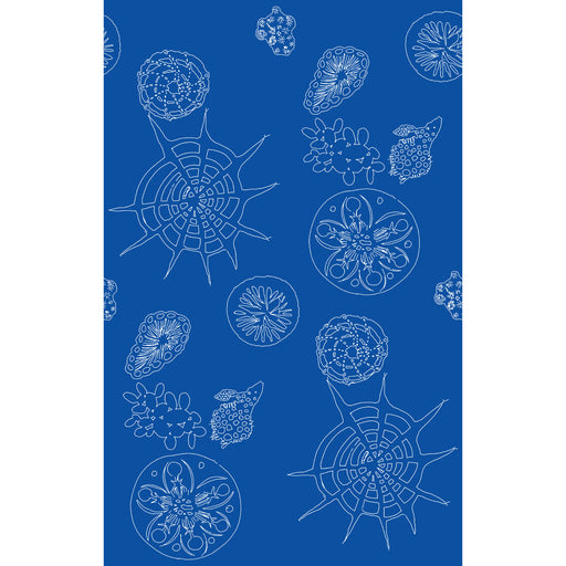 KRAVET COUTURE - TELESCOPIC P- NAUTICS - Wallcovering by the Roll NAUTICS