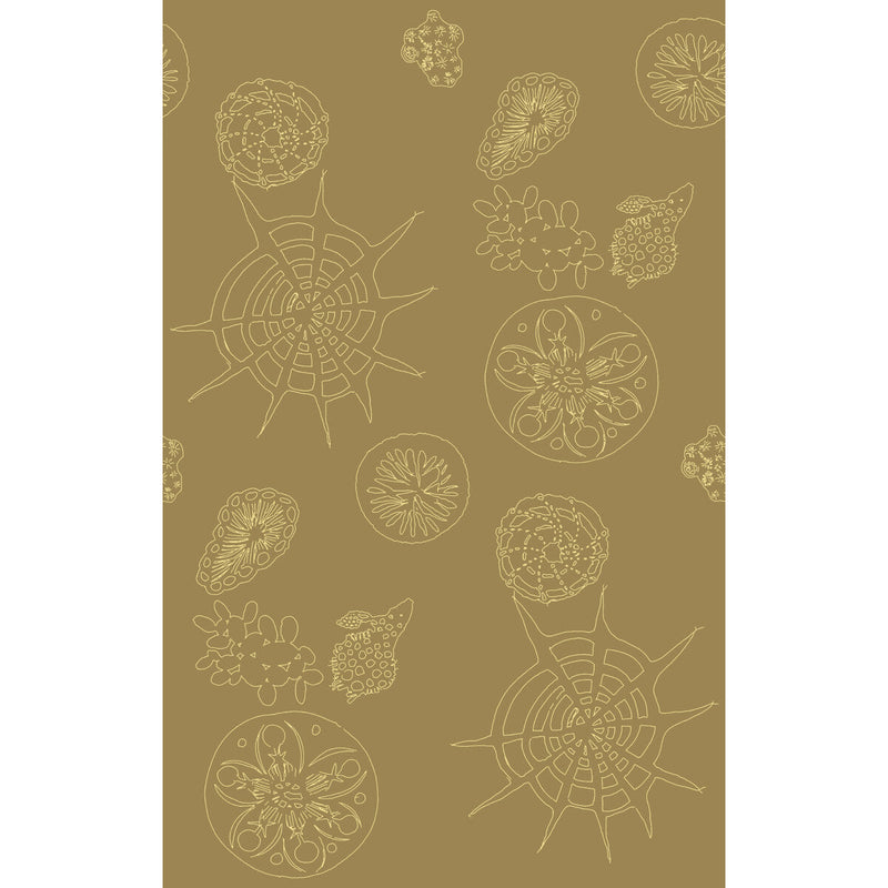 KRAVET COUTURE - TELESCOPIC P- SANDDOLLAR - Wallcovering by the Roll SANDDOLLAR