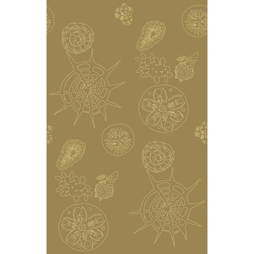 KRAVET COUTURE - TELESCOPIC P- SANDDOLLAR - Wallcovering by the Roll SANDDOLLAR