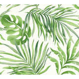 KRAVET DESIGN - KRAVET DESIGN- W3593-3 - Wallcovering by the Roll