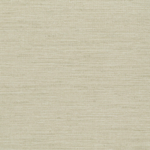 KRAVET DESIGN - KRAVET DESIGN- W3639-106 - Wallcovering by the Yard W3639-106