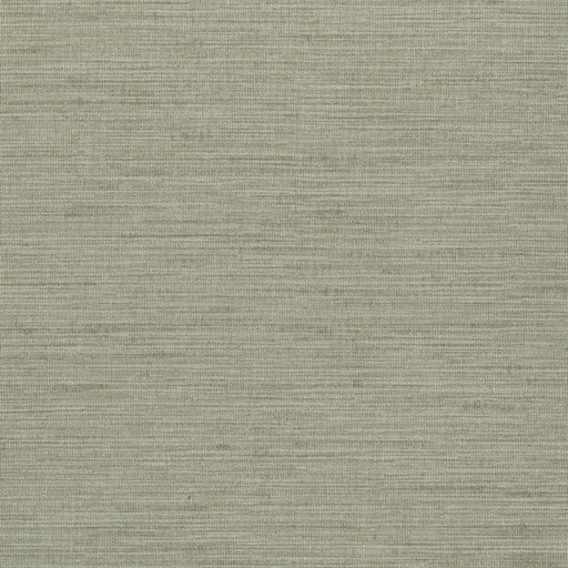 KRAVET DESIGN - KRAVET DESIGN- W3639-411 - Wallcovering by the Yard W3639-411