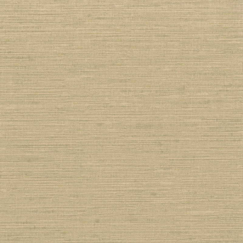 KRAVET DESIGN - KRAVET DESIGN- W3639-4 - Wallcovering by the Yard W3639-4