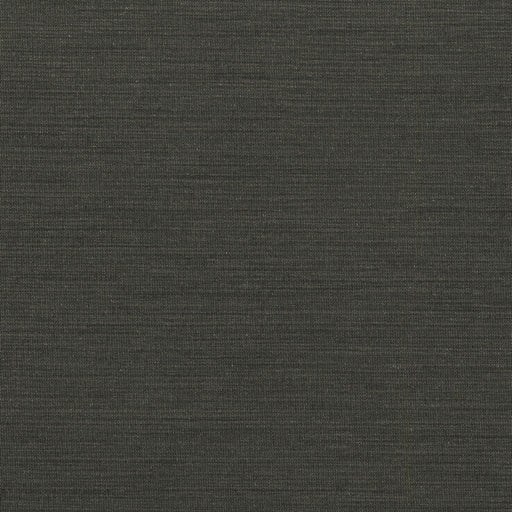 KRAVET DESIGN - KRAVET DESIGN- W3639-611 - Wallcovering by the Yard W3639-611