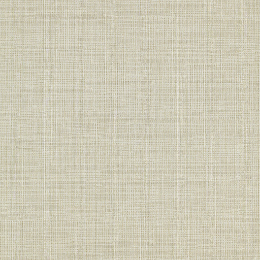 KRAVET DESIGN - KRAVET DESIGN- W3642-106 - Wallcovering by the Yard W3642-106