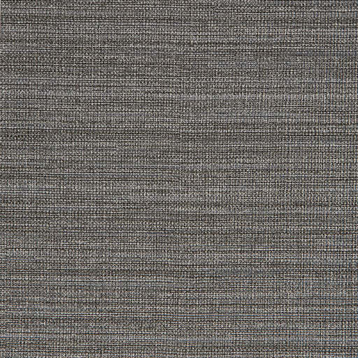 KRAVET DESIGN - KRAVET DESIGN- W3645-21 - Wallcovering by the Yard W3645-21