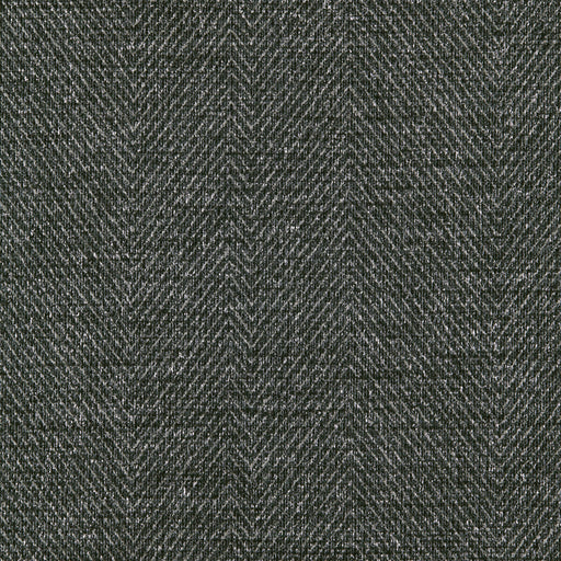 KRAVET DESIGN - KRAVET DESIGN- W3656-821 - Wallcovering by the Yard W3656-821