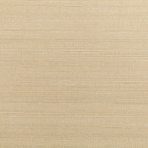 KRAVET DESIGN - KRAVET DESIGN- W3659-711 - Wallcovering by the Yard W3659-711