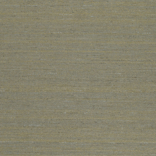 KRAVET DESIGN - KRAVET DESIGN- W3663-34 - Wallcovering by the Yard W3663-34