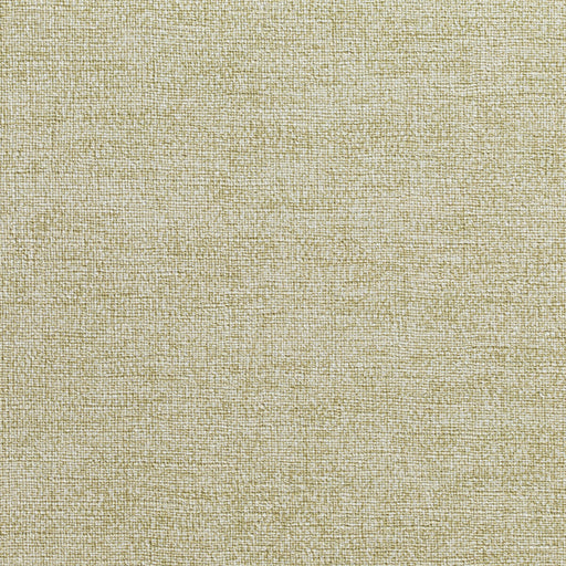 KRAVET DESIGN - KRAVET DESIGN- W3666-314 - Wallcovering by the Yard W3666-314