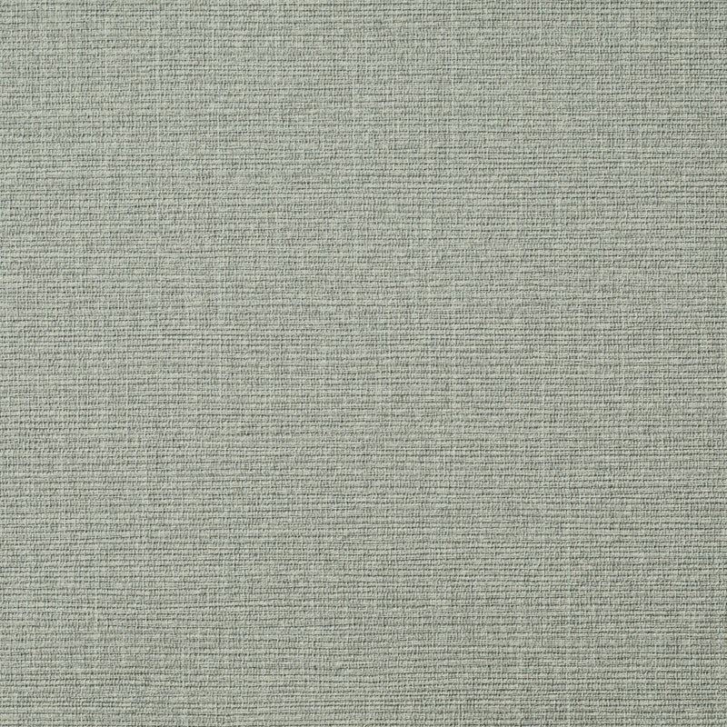 KRAVET DESIGN - KRAVET DESIGN- W3668-11 - Wallcovering by the Yard W3668-11