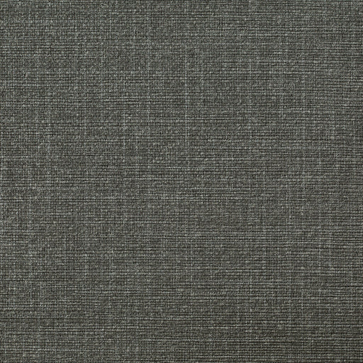 KRAVET DESIGN - KRAVET DESIGN- W3668-21 - Wallcovering by the Yard W3668-21