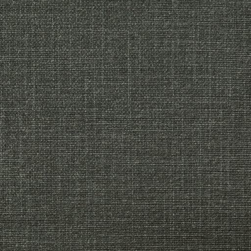 KRAVET DESIGN - KRAVET DESIGN- W3668-8 - Wallcovering by the Yard W3668-8