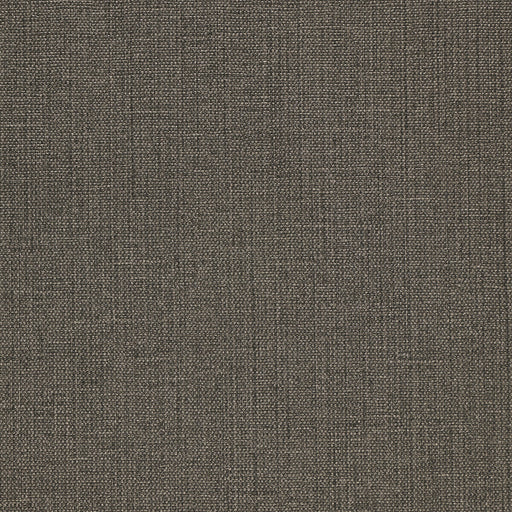 KRAVET DESIGN - KRAVET DESIGN- W3674-66 - Wallcovering by the Yard W3674-66