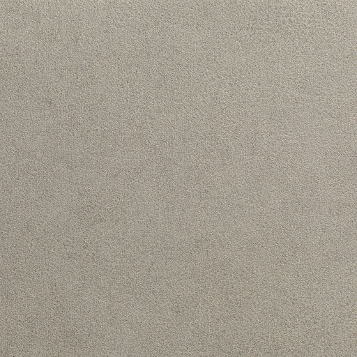 KRAVET DESIGN - KRAVET DESIGN- W3677-106 - Wallcovering by the Yard W3677-106