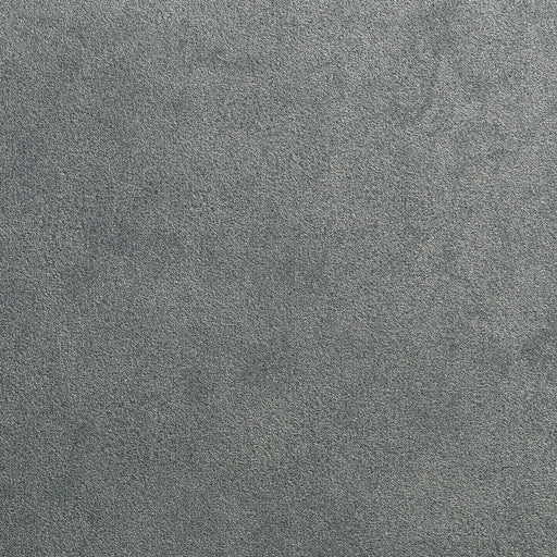 KRAVET DESIGN - KRAVET DESIGN- W3677-11 - Wallcovering by the Yard W3677-11