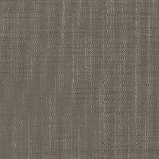 KRAVET DESIGN - KRAVET DESIGN- W3680-106 - Wallcovering by the Yard W3680-106