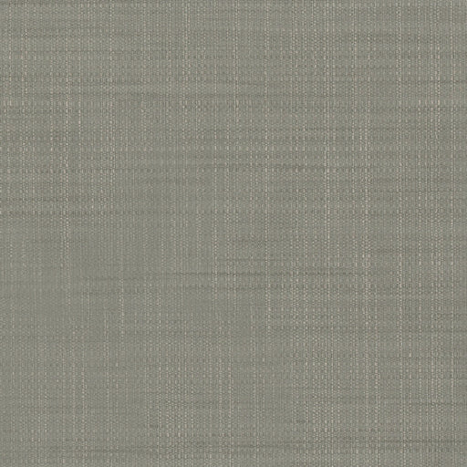 KRAVET DESIGN - KRAVET DESIGN- W3680-11 - Wallcovering by the Yard W3680-11