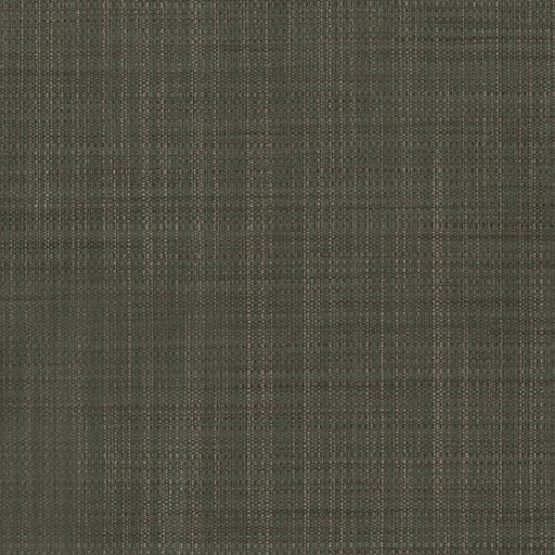 KRAVET DESIGN - KRAVET DESIGN- W3680-611 - Wallcovering by the Yard W3680-611