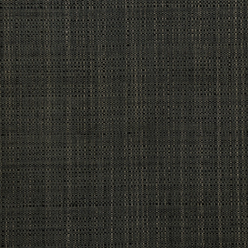 KRAVET DESIGN - KRAVET DESIGN- W3680-84 - Wallcovering by the Yard W3680-84