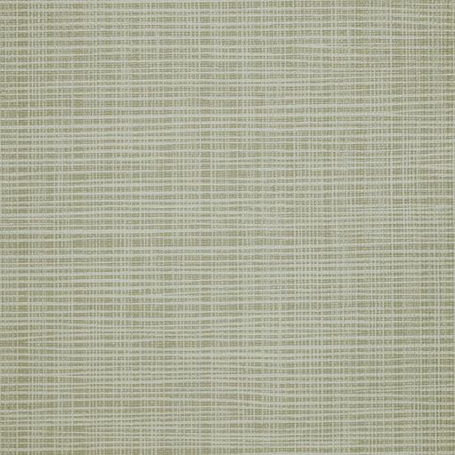 KRAVET DESIGN - KRAVET DESIGN- W3684-316 - Wallcovering by the Yard W3684-316